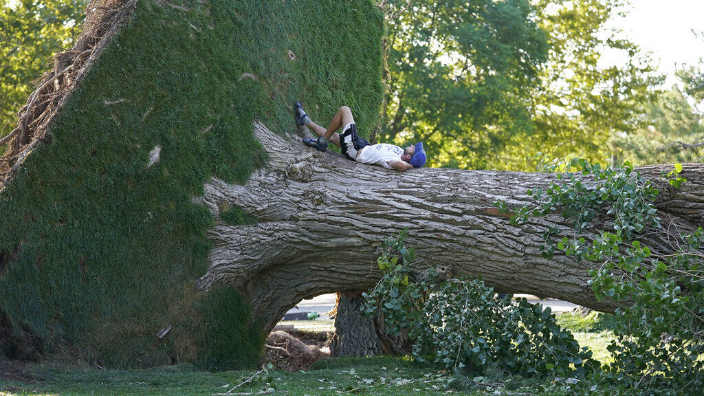 APTOPIX Wind Storm Utah